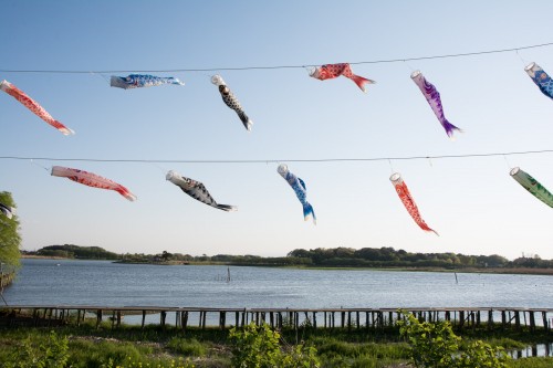 Les carpes koinobori pendant le festival des enfants Kodomo No Hi à Tatebayashi