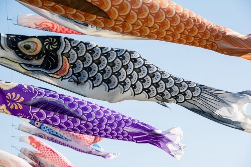 Les carpes koinobori pendant le festival des enfants Kodomo No Hi à Tatebayashi