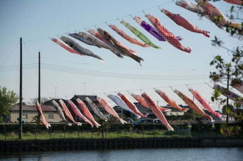Les carpes koinobori pendant le festival des enfants Kodomo No Hi à Tatebayashi