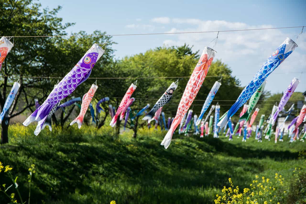 Le Kodomo No Hi, plus de 5000 carpes pour le fête des enfants à Tatebayashi