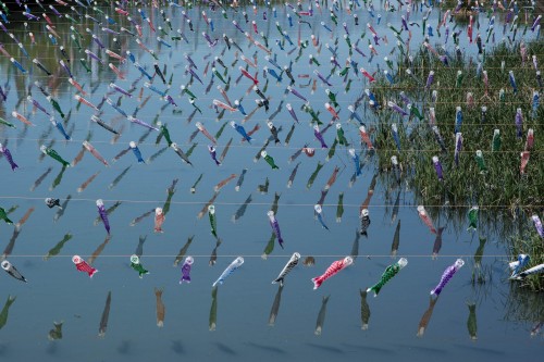 Les carpes koinobori pendant le festival des enfants Kodomo No Hi à Tatebayashi