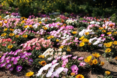 Le jardin Tobu Treasure Garden à Tatebayashi dans la préfecture de Gunma 