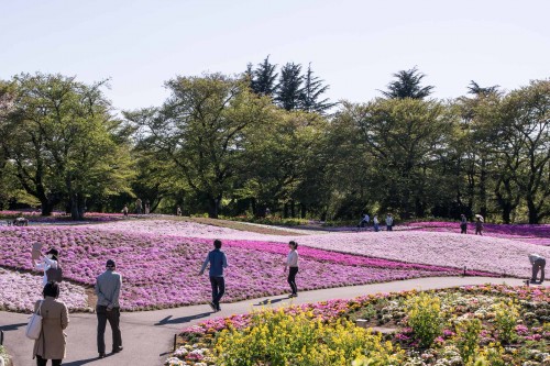 Le jardin Tobu Treasure Garden à Tatebayashi dans la préfecture de Gunma