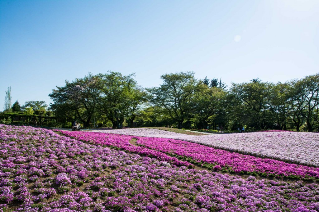 Le jardin botanique Tobu Treasure Garden à Tatebayashi, Gunma