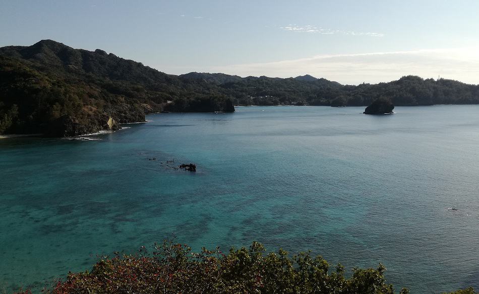 Ogasawara : les conseils pratiques pour s’y rendre