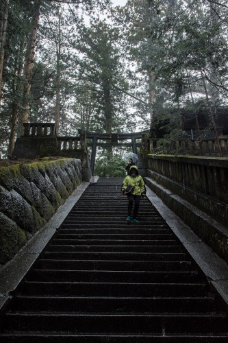 les marches en pierre au sanctuaire Toshogu à Nikko