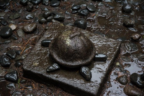 détail de tortue au sanctuaire Toshogu à Nikko