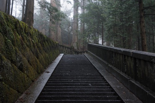 les escaliers en pierre au sanctuaire Toshogu à Nikko