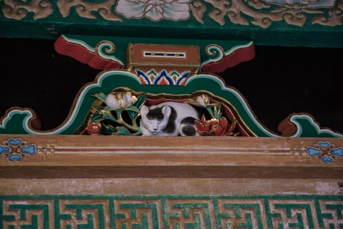 Nemuri-neko au sanctuaire Toshogu à Nikko