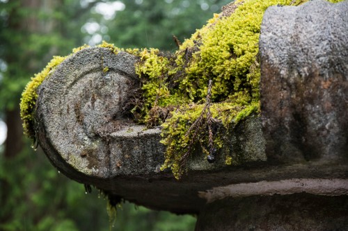 détail d'une lanterne en pierre au sanctuaire Toshogu à Nikko