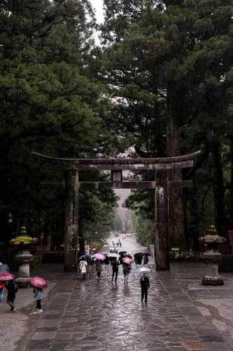 le torii au sanctuaire Toshogu à Nikko