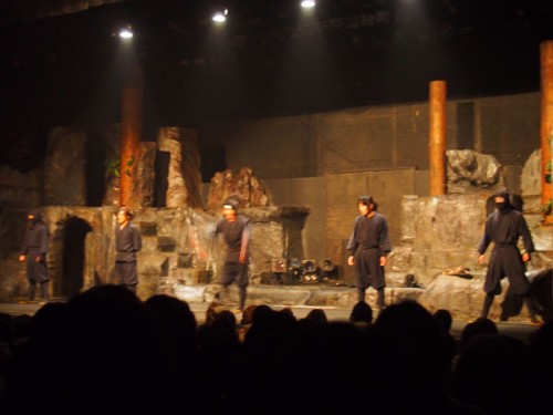 Spectacle à Nikko Edomura