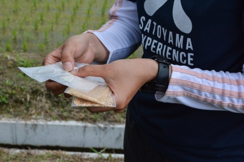 Faire une balade à vélo dans la campagne japonaise à Hida Furukawa, dans la préfecture de Gifu
