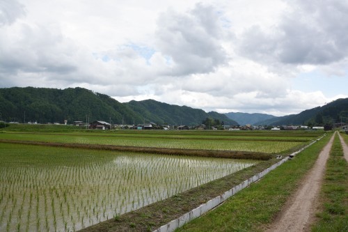 Faire une balade à vélo dans la campagne japonaise à Hida Furukawa, dans la préfecture de Gifu