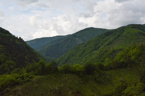 La chambre traditionnelle du Tanekura Inn, en pleine nature tout près de Hida Furukawa, Gifu