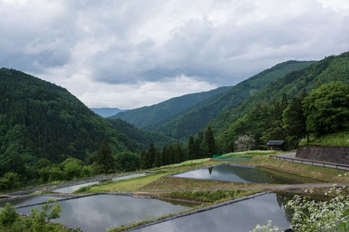 Le village de Tanekura où se trouve l'hôtel Tanekura Inn entouré de nature et de rizières tout près de Hida Furukawa, Gifu
