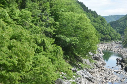 La vue du train Hida Furukawa Sakakami, Gifu