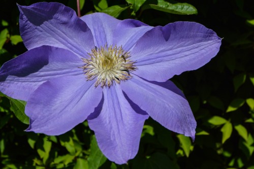 Mr.Kishi‘s residence à Murakami