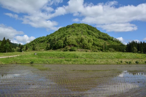 Plantez du riz près de Murakami dans le village de Takane