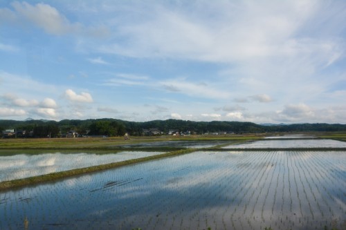 la vue du bus pour arriver à la ferme où l'on va apprendre à planter du riz près de Murakami