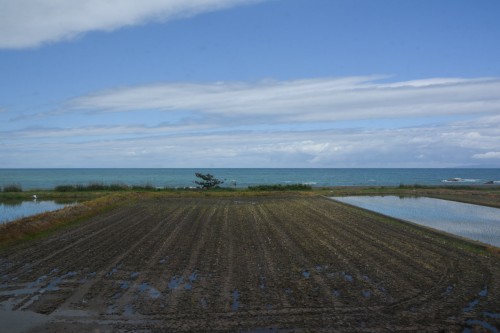 le paysage du train entre Murakami et Gatsugi