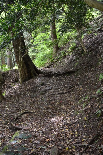 le chemin pour accéder au temple Hakogata Hachimangu Shaso à Gatsugi dans la préfécture de Niigata