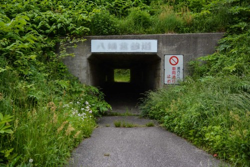 temple Hakogata Hachimangu Shaso