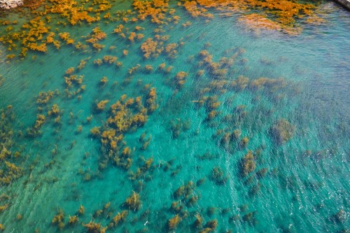 Chojagabashi à 3km du village Shukunegi, où l'on peut admirer la côte d'Ogi de l'île de Sado