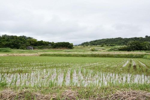 L'auberge traditionnelle au Japon : le minshuku. Ici le minshuku takimoto sur l'île de Sado, Niigata