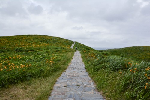 Onogame, un des plus beaux paysages naturels de l'île de Sado dans la préfecture de Niigata