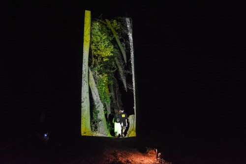 Le jardin Mifuneyama Rakuen à Takeo Onsen, dans la préfecture de Saga avec l'exposition A forest where Gods Live de teamLab