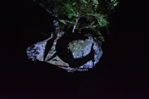 Le jardin Mifuneyama Rakuen à Takeo Onsen, dans la préfecture de Saga avec l'exposition A forest where Gods Live de teamLab