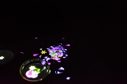 Le jardin Mifuneyama Rakuen à Takeo Onsen, dans la préfecture de Saga avec l'exposition A forest where Gods Live de teamLab