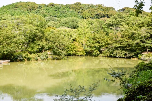 Le jardin Mifuneyama Rakuen à Takeo Onsen, dans la préfecture de Saga