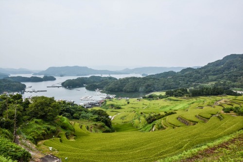 Les rizières en terrasse Oura Tanada dans la préfecture de Saga, sur l'île de Kyshu au Japon