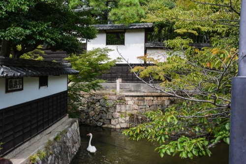 visite du quartier historique de Kurashiki, le Bikan