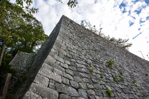 Le château de Marugame dans l'île de Shikoku, dans la préfecture de Kagawa