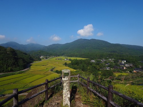 Une vue sur les rizières Tashibunoshou depuis l'observatoire de Yuhi Kan-non à Oita, Kyushu