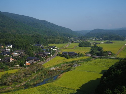 Une vue sur les rizières Tashibunoshou depuis l'observatoire de Yuhi Kan-non à Oita, Kyushu