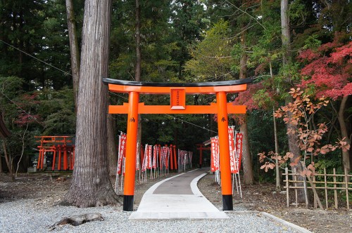 Ohmi Railway, Taga-taisha, Hikone, Shiga, Kyoto