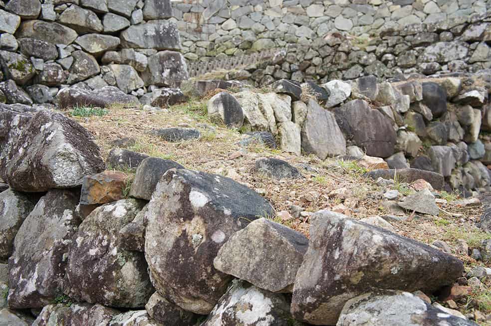 Château de Hikone, ère Edo, Japon, Histoire, Lac Biwa, Hikonyan