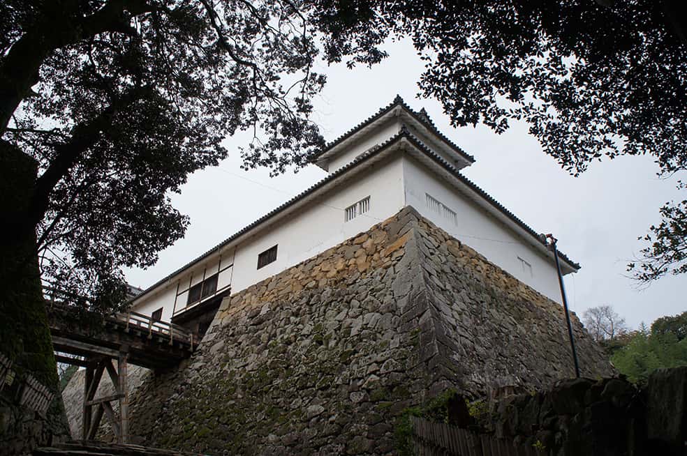Château de Hikone, ère Edo, Japon, Histoire, Lac Biwa, Hikonyan