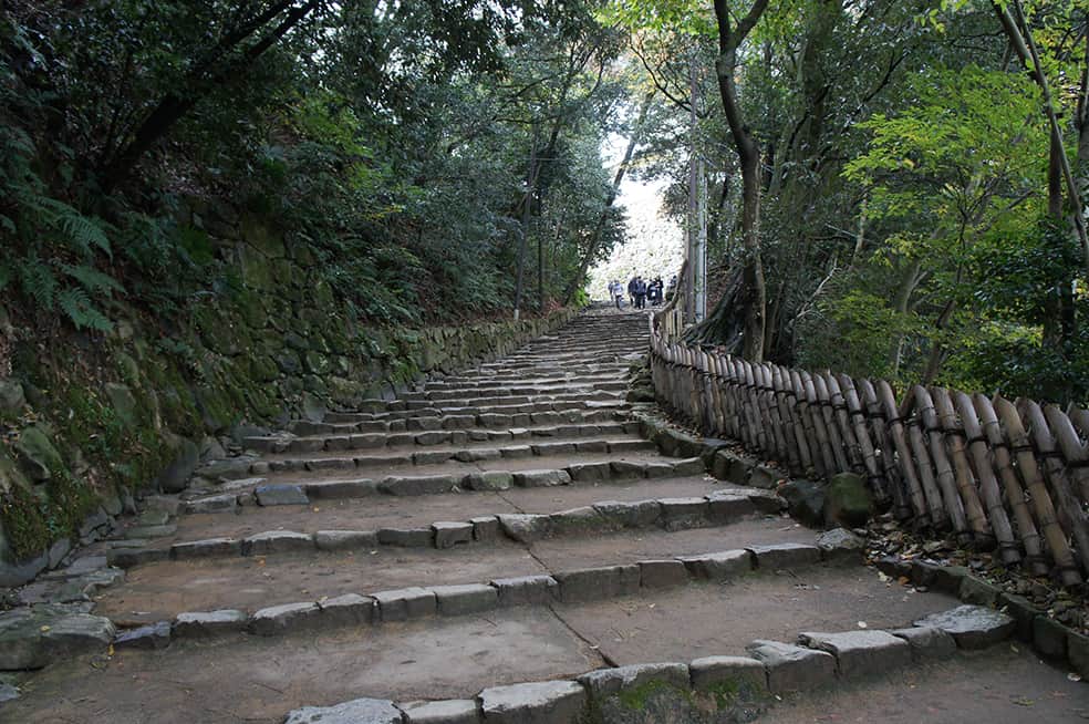 Château de Hikone, ère Edo, Japon, Histoire, Lac Biwa, Hikonyan