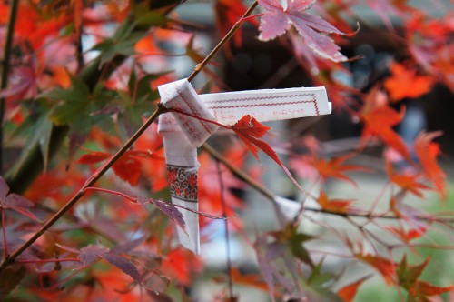 Chikubu-shima, Hikone, île sacrée, lac Biwa, Shiga, omikuji, momiji
