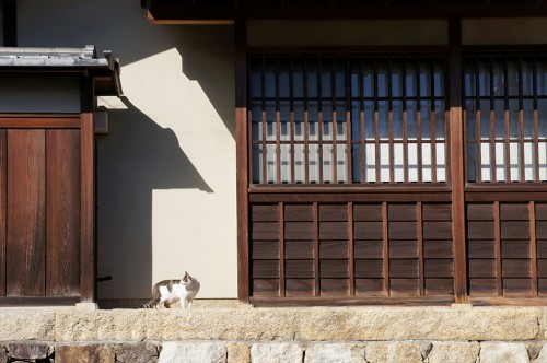 Omihachiman, Lac Biwa, Baumkuchen, époque Edo, canal