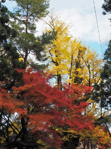 Himi, Mer du Japon, Japon, Temples, Koyo, Automne