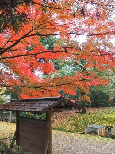 Himi, Mer du Japon, Japon, Temples, Koyo, Automne, 
