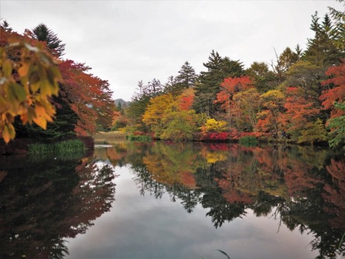 Karuizawa, Nagano, Karuizawa Prince Hotel, vélo, Japon, Kumoba