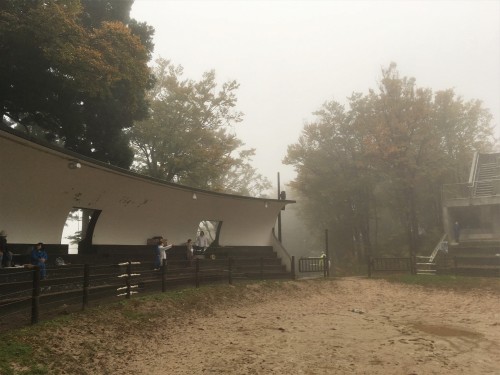 Yamakoshi, écotourisme, agriculture, Japon, Niigata, 