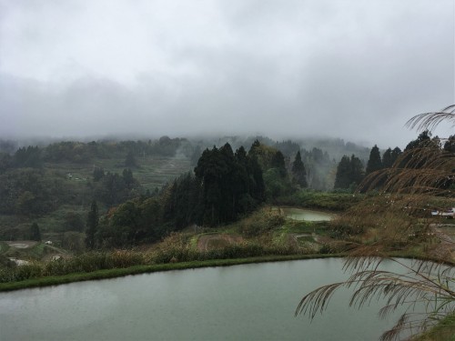 Yamakoshi, écotourisme, rizière, agriculture, Japon